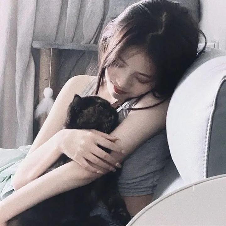 八星报喜粤语 在线观看