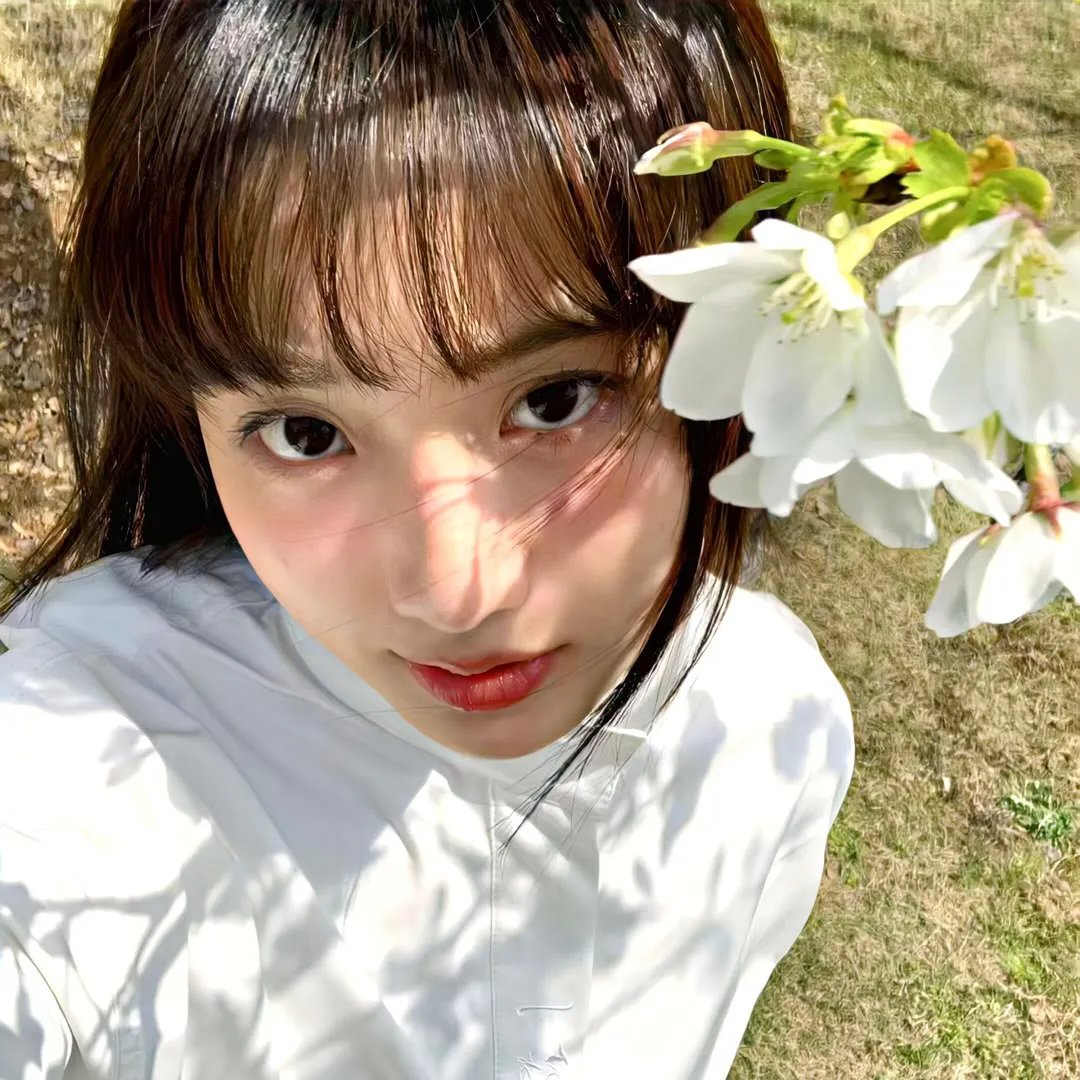 蒙娜丽莎与血月亮 在线观看